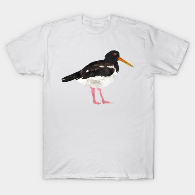 Oystercatcher T-Shirt by Babban Gaelg